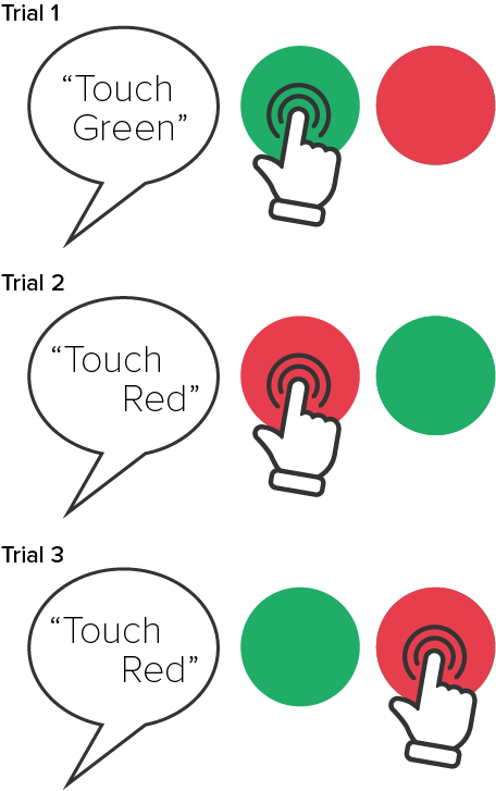 Step 7 Trial 1 - Touch Green (with red distractor) in random order, Trial 2 - Touch Red (with green distractor) in random order, Trial 3 - Touch Red (with green distractor) in random order