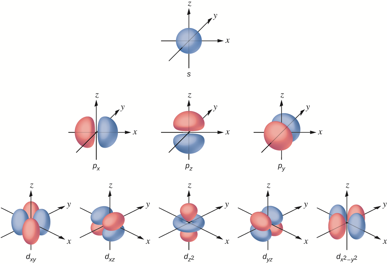There is one s-orbital in the  shape of a sphere centered on 0,0,0 of the x,y,z coordinate system. There are three equivalent p-orbitals. Each has a lobe centered around either the x, y, or z axis with a node at the 0,0,0 of the x, y, z coordinate system.  There are five equivalent d-orbitals. There shape is complicated and not required for this course