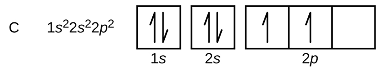 The element C is carbon, which has an electron configuration of 1s22s22p2 which is represented with a box for the 1s orbital with 1 arrow pointing up and one arrow pointing down within the box for the 2 electrons of 1s2 and a box with 1 arrow pointing up and one arrow pointing down within the box for the 2 electrons of 2s2...together these two boxes represent 1s22s2. There are three boxes that represent the three equivalent 2p orbitals. There is one arrow pointing up in both of the first two boxes and the third box is empty to represent 2p2. Together these 5 boxes represent 1s22s22p2
