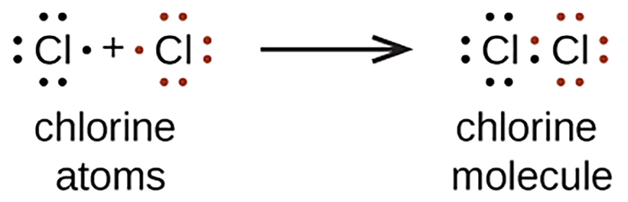 2 chlorine atoms, Cl with seven dots (three pairs and one single dot), reacts to produce a chloride molecule, Cl-Cl with four pairs of dots.