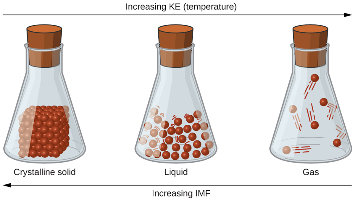 A solid has the most intermolecular forces so it is tightly held together. As the temperature (kinetic energy) increases, the particles start to pull apart and the solid will turn into a liquid. As the temperature keeps increasing (increasing the kinetic energy, the particles are pulled further apart as the liquid turns into a gas.