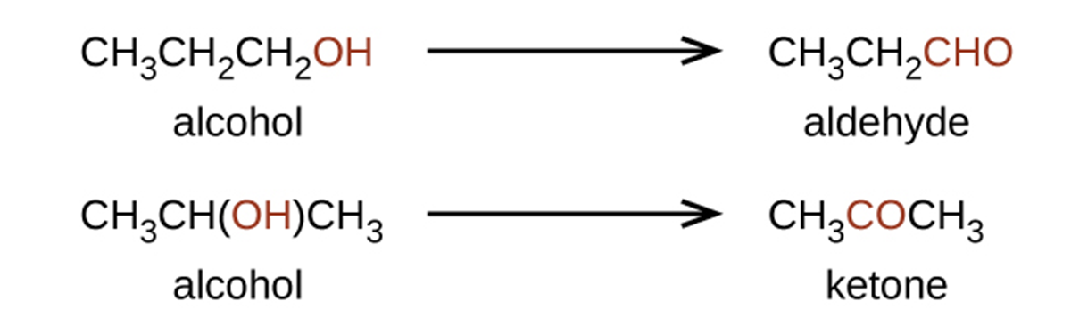 Top figure shows the reaction of glucose to produce ethanol and C O subscript 2. The reaction shows C subscript 6 H subscript 12 O subscript 6 ( a q ) arrow labeled “yeast” 2 C subscript 2 H subscript 5 O H (a q) plus 2 C O subscript 2 ( g ). The O H in ethanol is shown in red.  In the bottom figure, ​​a reaction is shown. An alcohol appears on the left and a ketone on the right of the reaction arrow. The alcohol is shown as C H subscript 3 C H ( O H ) C H subscript 3 and the ketone is shown as C H subscript 3 C O C H subscript 3. The O H group in the alcohol structure and the C O group at the center of the ketone structure are in red.