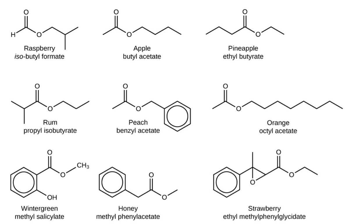 There are nine structures represented in this figure. The first is labeled, “raspberry,” and, “iso-butyl formate.” It shows an H atom with a line going up and to the right which then goes down and to the right. It goes up and to the right again and down and to the right and up and to the right. At the first peak is a double bond to an O atom. At the first trough is an O atom. At the second trough, there is a line going straight down. The second is labeled, “apple,” and, “butyl acetate.” There is a line that goes up and to the right, down and to the right, up and to the right, and down and to the right. At the second peak is a double bond to an O atom. At the end, on the right is O C H subscript 3. The third is labeled, “pineapple,” and, “ethyl butyrate.” It is a line that goes up and to the right, down and to the right, up and to the right, down and to the right, up and to the right, and down and to the right. At the second peak is a double bond to an O atom and at the second trough is an O atom. The fourth is labeled, “rum,” and “propyl isobutyrate.” It shows a line that goes down and to the right, up and to the right, down and to the right, up and to the right, down and to the right and up and to the right. The first complete peak has a double bond to an O atom and the second trough has an O atom. The fifth is labeled, “peach,” and “benzyl acetate.” It shows a line that goes up and to the right, down and to the right, up and to the right and down and to the right. This line connects to a hexagon with a circle inside it. The first peak has a double bond to an O atom and the first trough has an O atom. The sixth is labeled, “orange,” and, “octyl acetate.” It shows a line that goes up and to the right and down and to the right and up and to the right and down and to the right and up and to the right and down and to the right and up and to the right and down and to the right and up and to the right and down and to the right. The first peak has a double bond to an O atom and the first complete trough has and an O atom. The seventh is labeled, “wintergreen,” and “methyl salicylate.” It shows a hexagon with a circle inside of it. On the right, is a bond down and to the right to an O H group. On the right is a bond to a line that goes up and to the right and down and two the right and up and to the right. At the first peak is a double bond to an O atom, the next trough shows and O atom and at the end of the line is a C H subscript 3 group. The eighth is labeled, “honey,” and “methyl phenylacetate.” It shows a hexagon with a circle inside of it. It shows it connecting to a line on the right that goes down and to the right then up and to the right and down and to the right and up and to the right. At the first peak that is not part of the hexagon is a double bond to an O atom. At the last trough is an O atom. The ninth is labeled, “strawberry,” and “ethyl methylphenylglycidate.” This shows a hexagon with a circle inside of it. On the right, it connects to a line that goes up and to the right and down and to the right and up and to the right and down and to the right and up and to the right and down and to the right. At the first peak is a line that extends above and below. Below, it connects to an O atom. At the next trough, the line extends down and to the left to the same O atom. At the next peak is a double bond to an O atom, and at the next trough is an O atom.