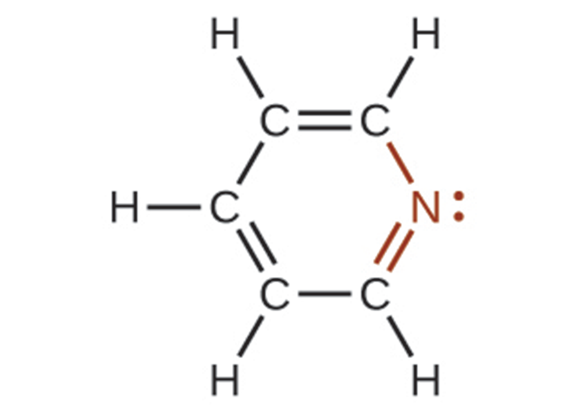 A molecular structure is shown. A ring of five C atoms and one N atom is shown with alternating double bonds. Single H atoms are bonded, appearing at the outside of the ring on each C atom. The N atom has an unshared electron pair shown on the N atom on the outer side of the ring. The N atom, electron dot pair, and bonds connected to it in the ring are shown in red
