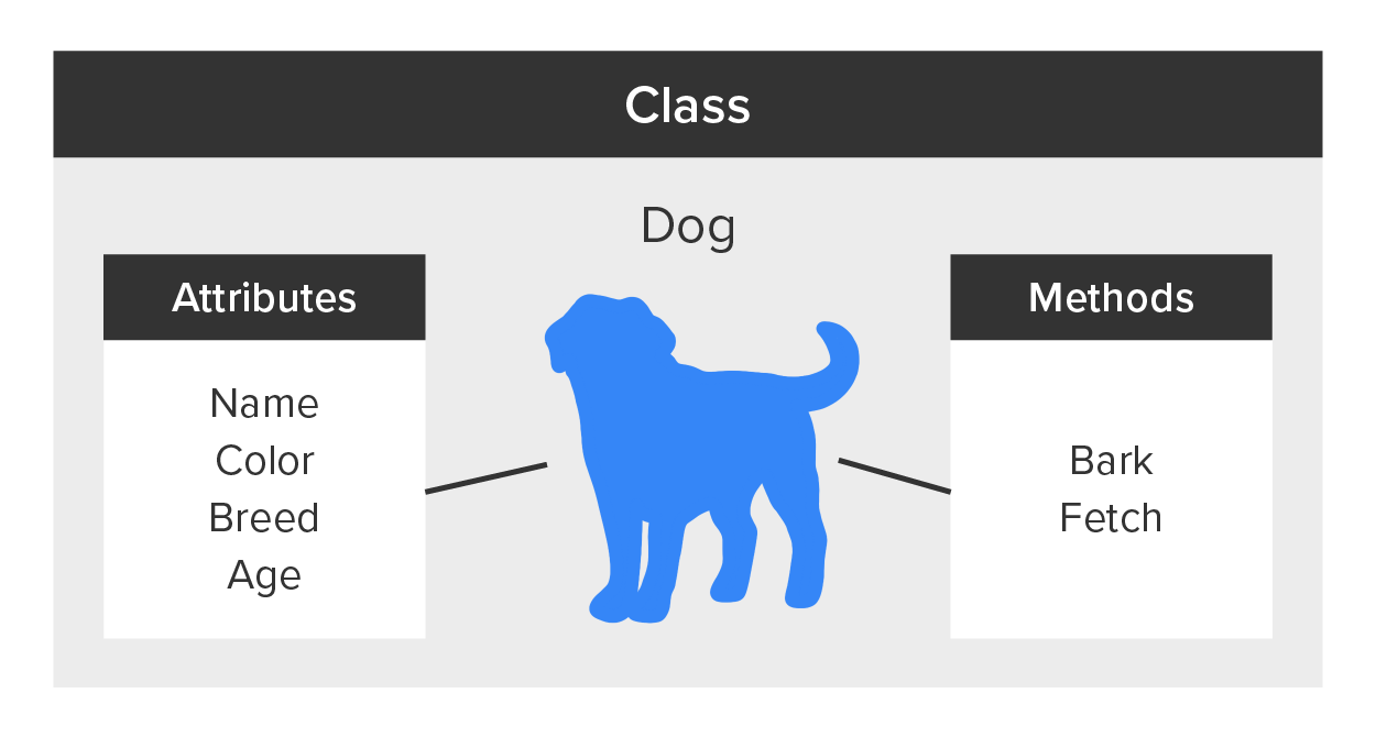 The items that make up a class, class name  “Dog”, Attributes containing “name”, “Color”, “Breed” and “Age”, and Methods containing “Bark” and “Fetch”.