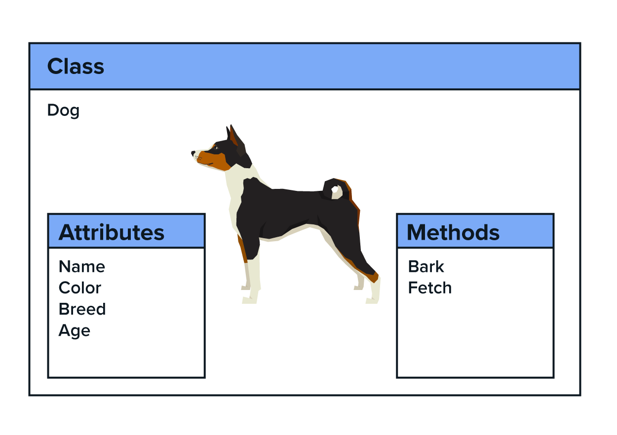 The items that make up a class, class name  “Dog”, Attributes containing “name”, “Color”, “Breed” and “Age”, and Methods containing “Bark” and “Fetch”.