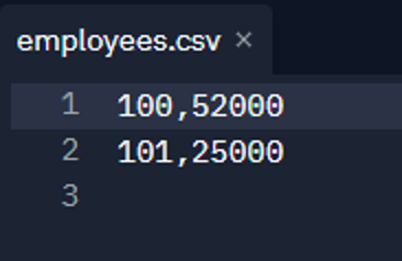 Replit screenshot of employees.csv with 100,52000 and 101,2500 as strings.