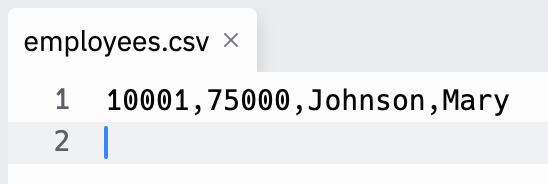 Replit Screenshot of java employees.csv 1. 101,25000.