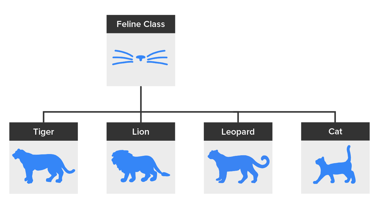 The Feline class with four subcategories of that class including Tiger, Lion, Leopard, and Cat below it.
