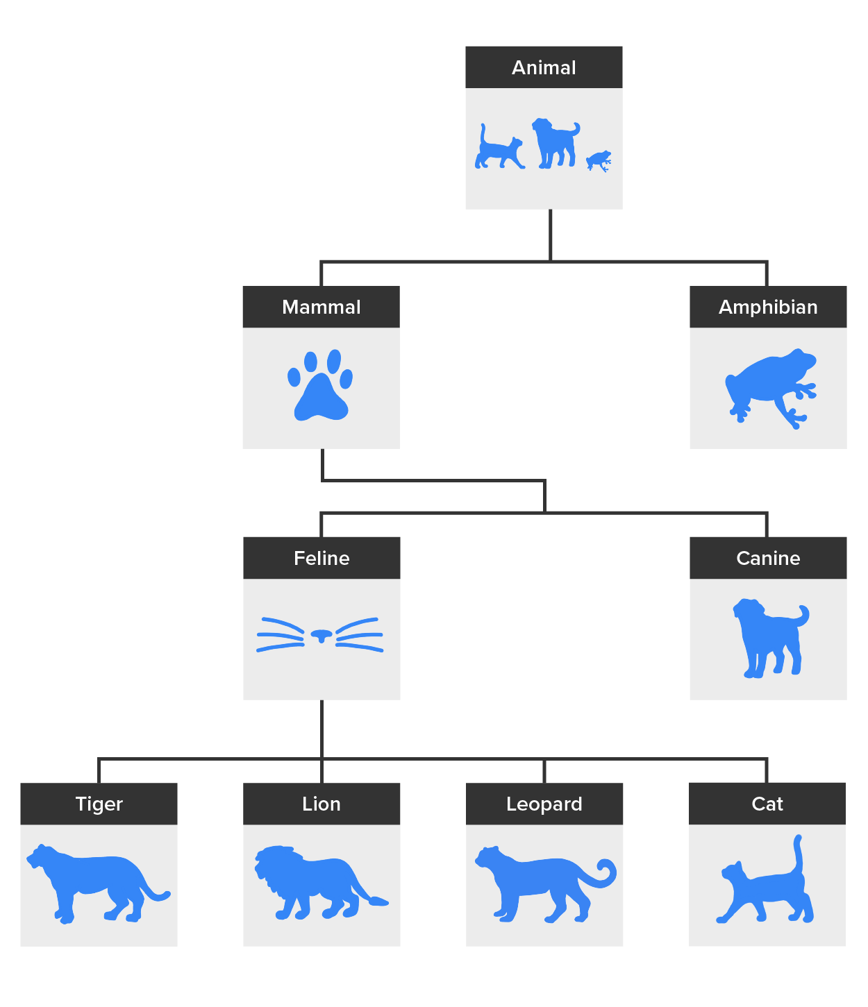 The Animal class with subclasses of Mammal and Amphibian below it.  Followed by Feline and Canine below Mammal. Finally, subclasses include Tiger, Lion, Leopard, and Cat below the Feline.