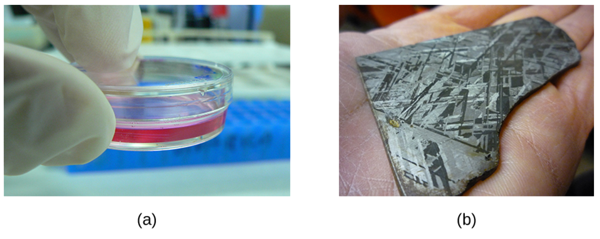 The tips of a person’s gloved hands holding a clear plate with a lid. The plate contains a reddish material in the bottom of the plate. Image b shows a piece of metal in a person’s hands. The material is dark with some shiny regions.