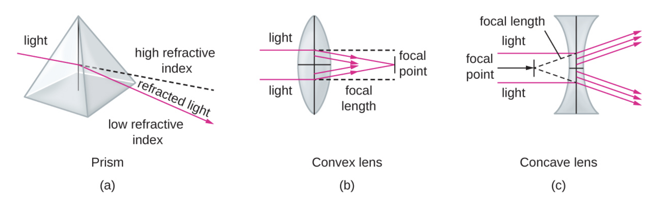 Diagram A shows a (prism) shows a clear pyramid with light entering one surface. The light leaving the other surface is bent and is the refracted light. A dotted line indicates the path the original light beam would have taken had it not bent. The region above the dotted line is labeled high refractive index; the region below the line is labeled low refractive index. Diagram b (convex lens) shows a lens with a bulge in the center. Light enters one either side of the dome and is focused to a point past the lens and in line with the center of the dome. The point at which the light focuses is the focal point; the distance from the focal point to the center of the lens is the focal length. Diagram c (concave lens) shows a lens that curves inward on either side. Light entering this lens is bent outwards, away from the center of the lens’s curve. A dotted line shows the linear path backwards for each of the bent light beams. The point at which all the dotted lines meet (which is on the other side of the lens) is the focal point.