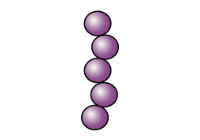 Gram-positive round-shaped bacteria that stain purple after the crystal violet stain is added in step one of the gram stain process, after the iodine in step 2 is added, after the decolorizer is added in step 3, and also after the safranin stain is added in step 4.