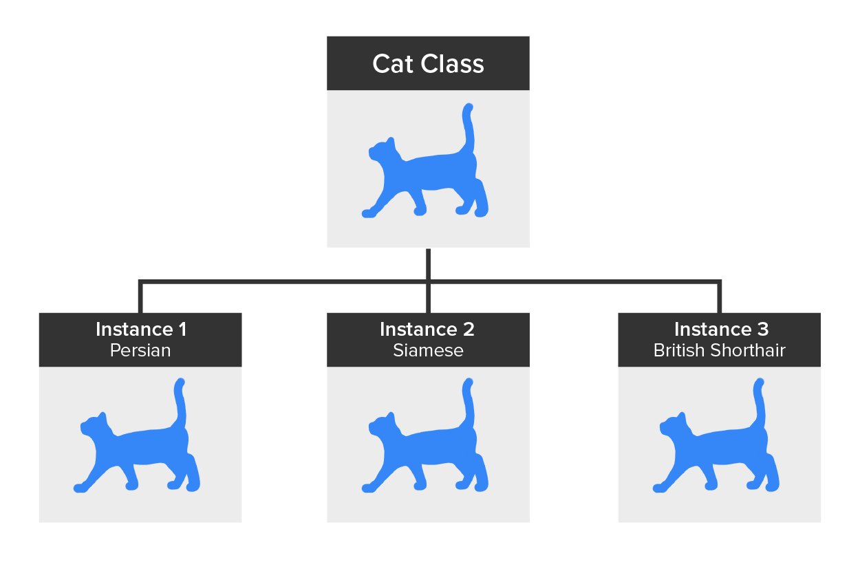 The Cat class with three instances of cat including Persian, Siamese, and British Shorthair as instances of the Cat class.