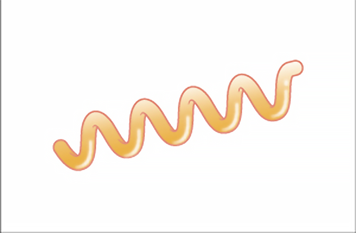 Illustration spirochete shape. The term spirochete (plural spirochetes) is the name for long, loose helical spiral shaped cells. These look similar to the spirillum but are more flexible.