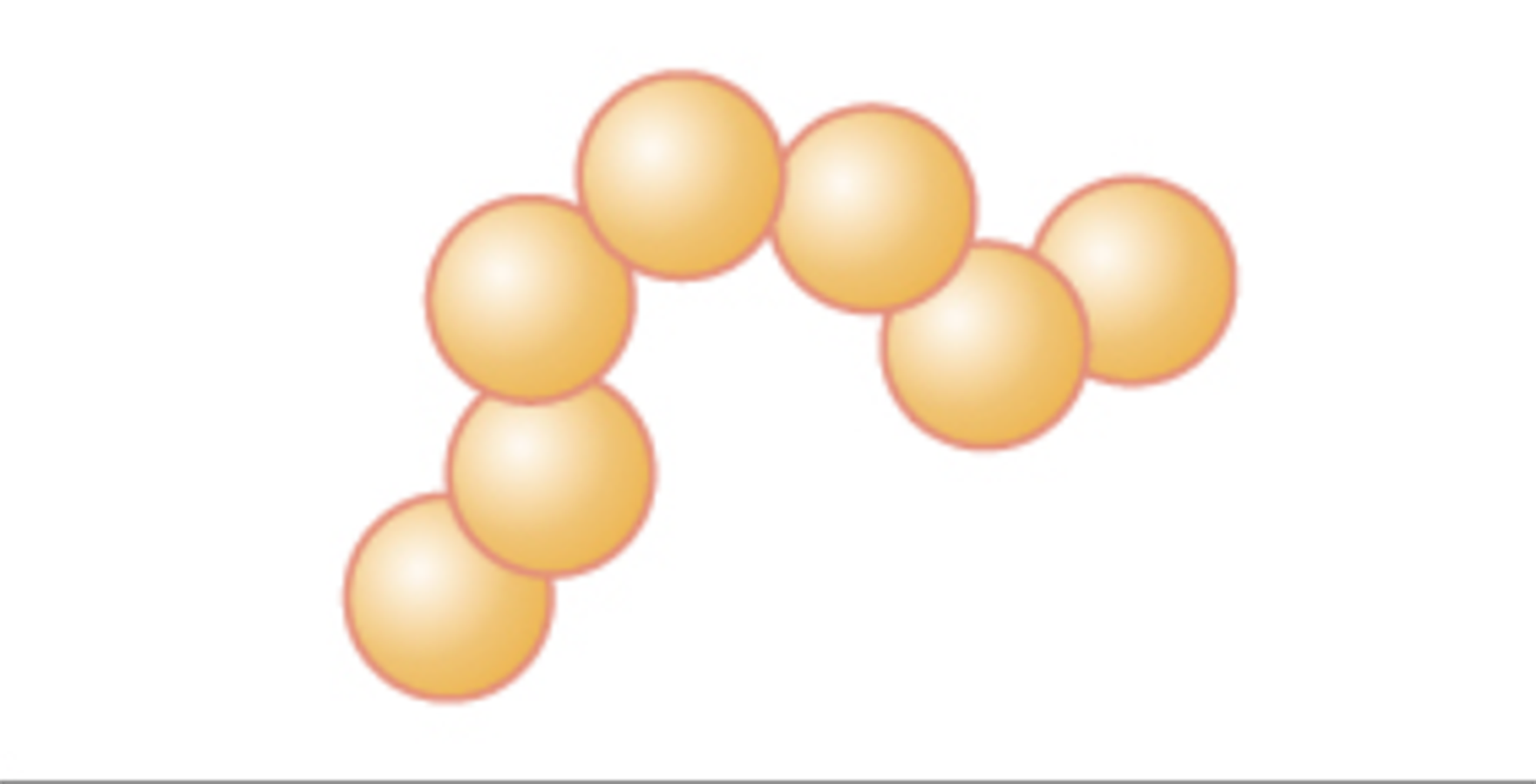 The term streptococcus (plural streptococci) is the name for a chain of cocci; the spheres are connected into a long chain.