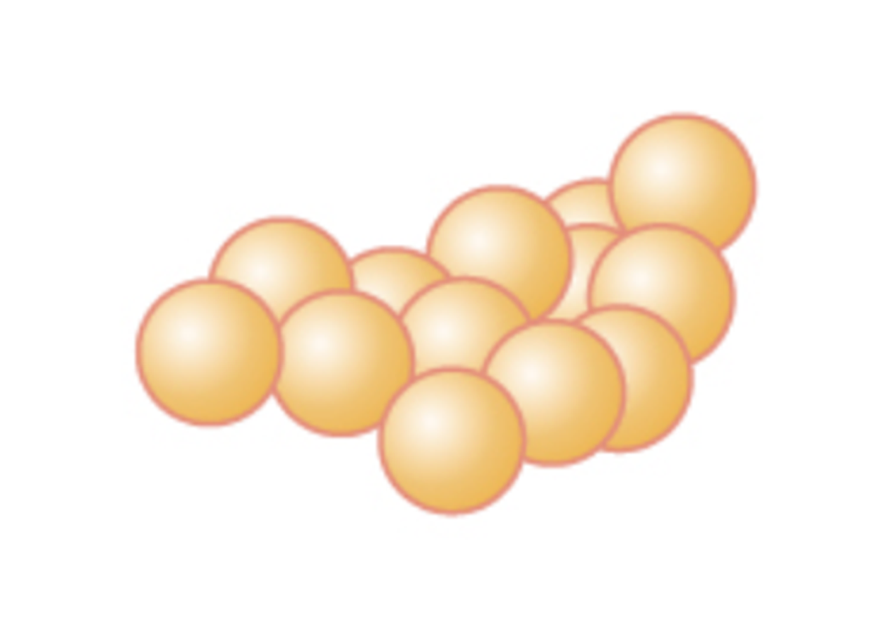 The term staphylococcus (plural staphylococci) is the name for a cluster of cocci; the spheres are connected into a bundle.