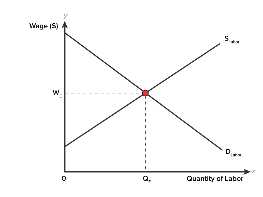 The Labor Market in Equilibrium