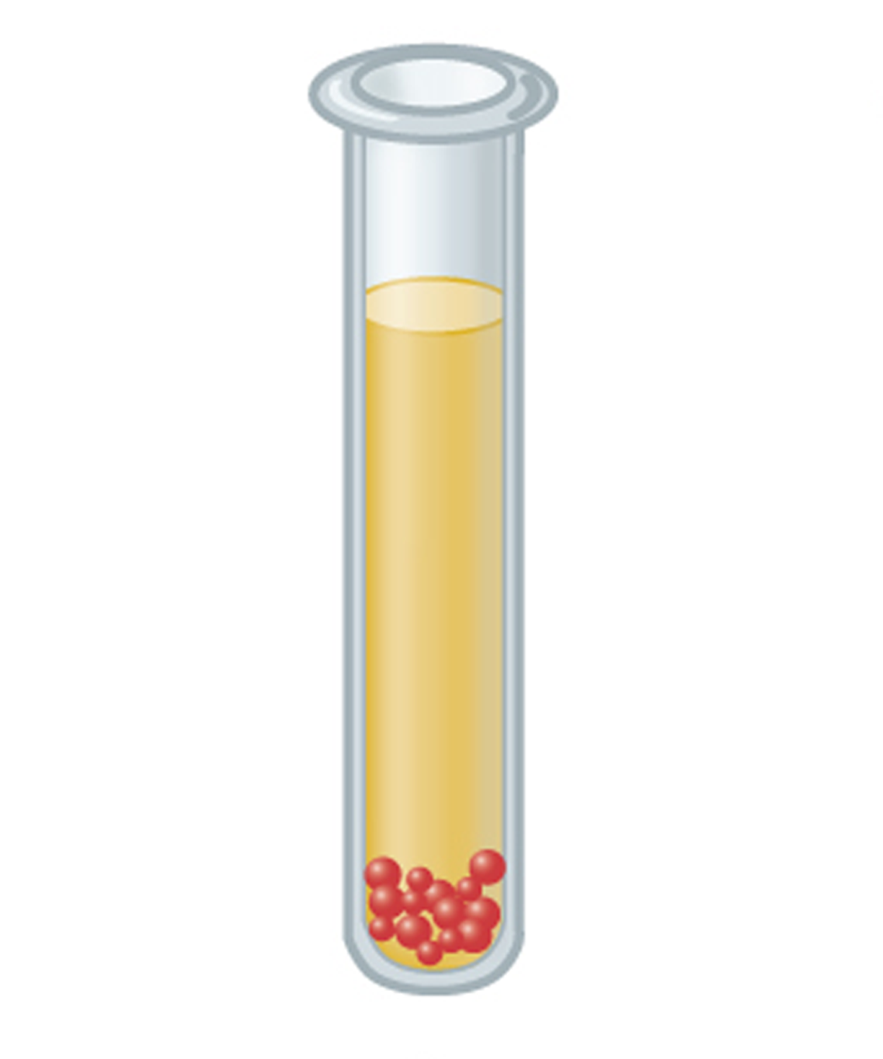 Bacteria showing growth only at the bottom of the thioglycolate medium.