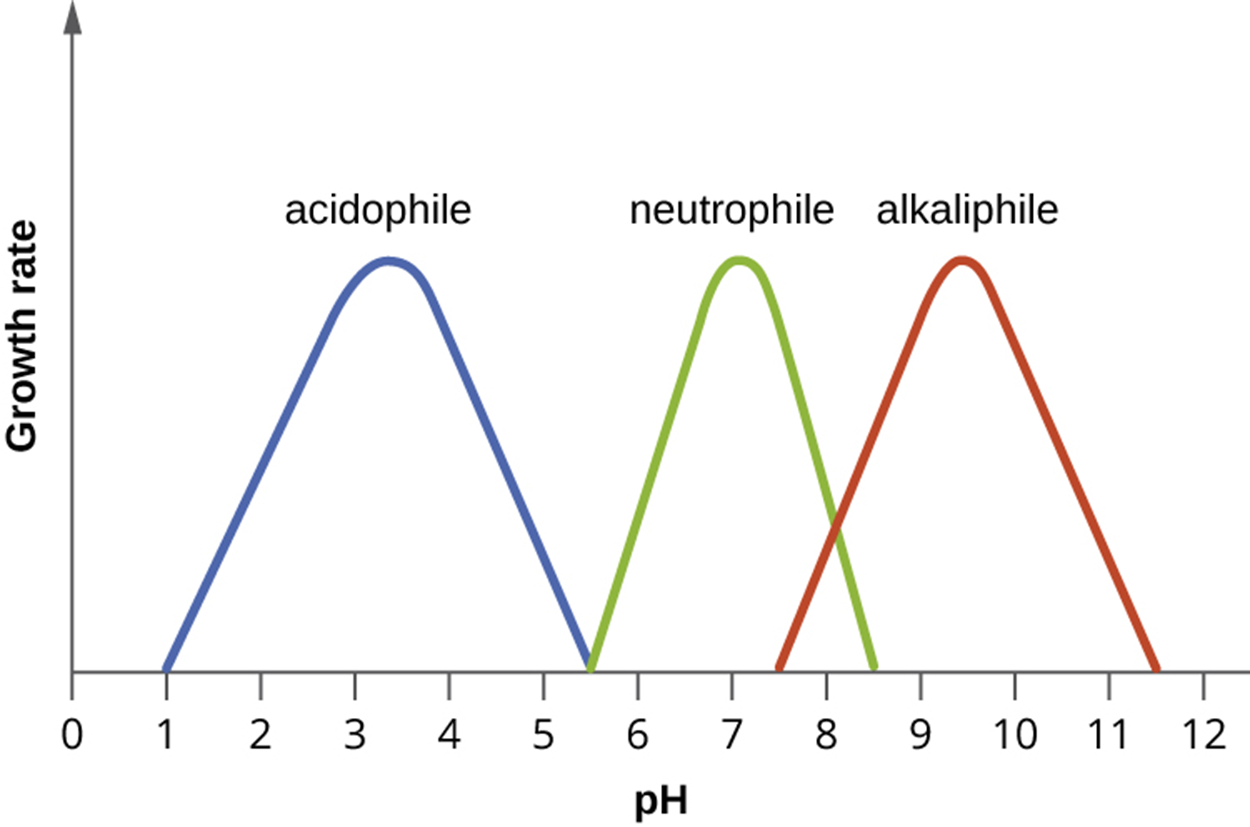 A graph with pH on the X-axis and growth rate on the Y-axis. One bell-shaped curve peaks at about pH 3 and drops down, reaching a growth rate of 0 at pH 1 and 5.5. This line is labeled acidophile. Another bell curve peaks at pH 7 and drops to 0 at pH 5.5 and 8.5. This is labeled neutrophile. The final curve peaks at pH 9.5 and drops to 0 at pH of 7.5 and 11.5. This is labeled alkaliphile.