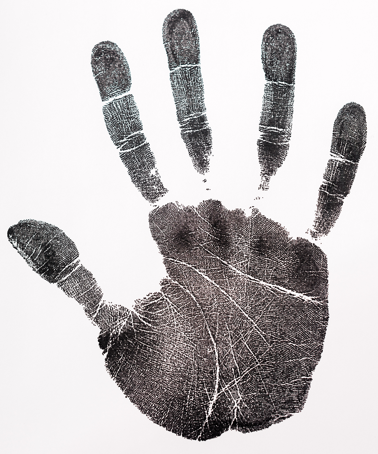 image shows the unique whorls, ridges, and folds of the human palm