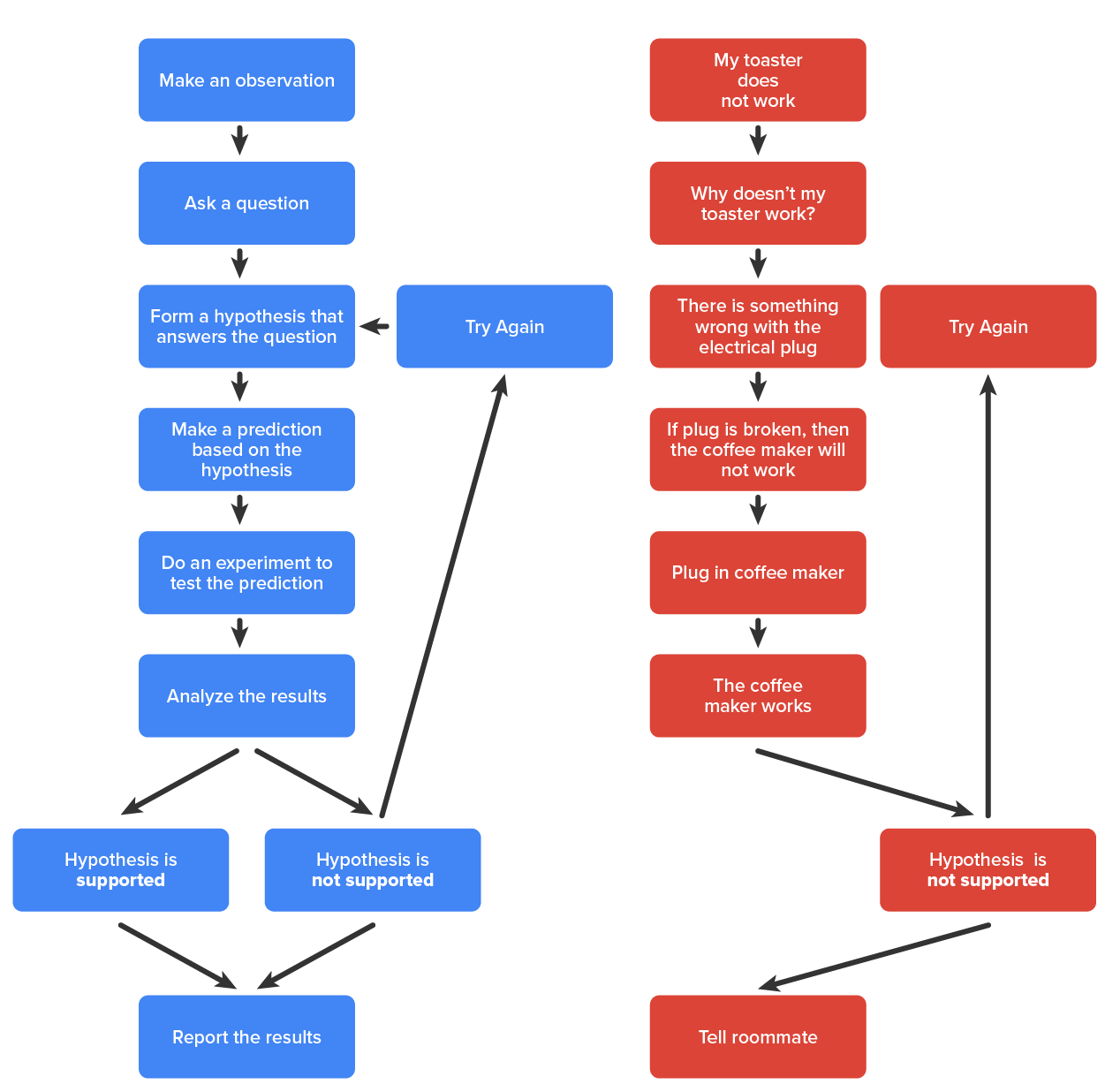 The scientific method is a series of defined steps that include experiments and careful observation. If a hypothesis is not supported by data, a new hypothesis can be proposed. This flow chart shows the steps in the scientific method. In step 1, an observation is made. In step 2, a question is asked about the observation. In step 3, an answer to the question, called a hypothesis, is proposed. In step 4, a prediction is made based on the hypothesis. In step 5, an experiment is done to test the prediction. In step 6, the results are analyzed to determine whether or not the hypothesis is supported. If the hypothesis is not supported, another hypothesis is made. In either case, the results are reported.