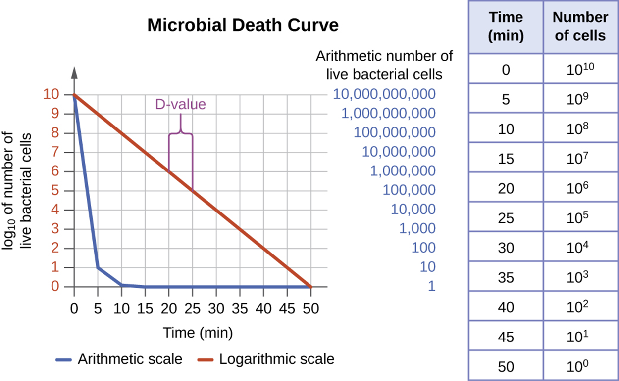 A table showing a decrease in number as microbial cells die. At time 0 there are 10 to the 10 cells. At time 5 there are 10 to the 9 cells. At time 10 there are 10 to the 8 cells.  At time 15 there are 10 to the 7 cells. At time 20 there are 10 to the 6 cells. At time 25 there are 10 to the 5 cells. At time 30 there are 10 to the 4 cells. At time 35 there are 10 to the 3 cells. At time 40 there are 10 to the 2 cells. At time 45 there are 10 to the 1 cells. At time 50 there are 10 to the 0 cells. A graph titled microbial death curve. The X axis is time and the Y axis is number of cells. Two lines indicate what this graph looks like using an arithmetic and logarithmic scale. Both lines begin at 10 to the 10 at time 0. The arithmetic scale drops quickly and is indistinguishable from 0 by 10 minutes. The logarithmic scale slopes at a clean diagonal. The D value is shown as the time it takes to move from 10 to the 6 to 10 to the 5; this occurs in 5 minutes.