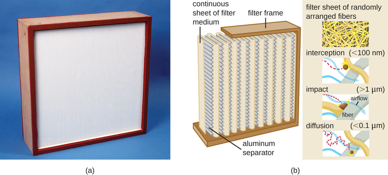 (A) A large square with a white center. (B) a diagram of the filter showing that the white center is made of a continuous sheet of filter medium separated by aluminum separators. A diagram showing the filter sheet of randomly arranged fibers. Interception (<100 nm) is when the particle hits a fiber. Impact (>1um) is when the particle becomes wedged between fibers. Diffusion (<0.01) is when the particle moves between the fibers.