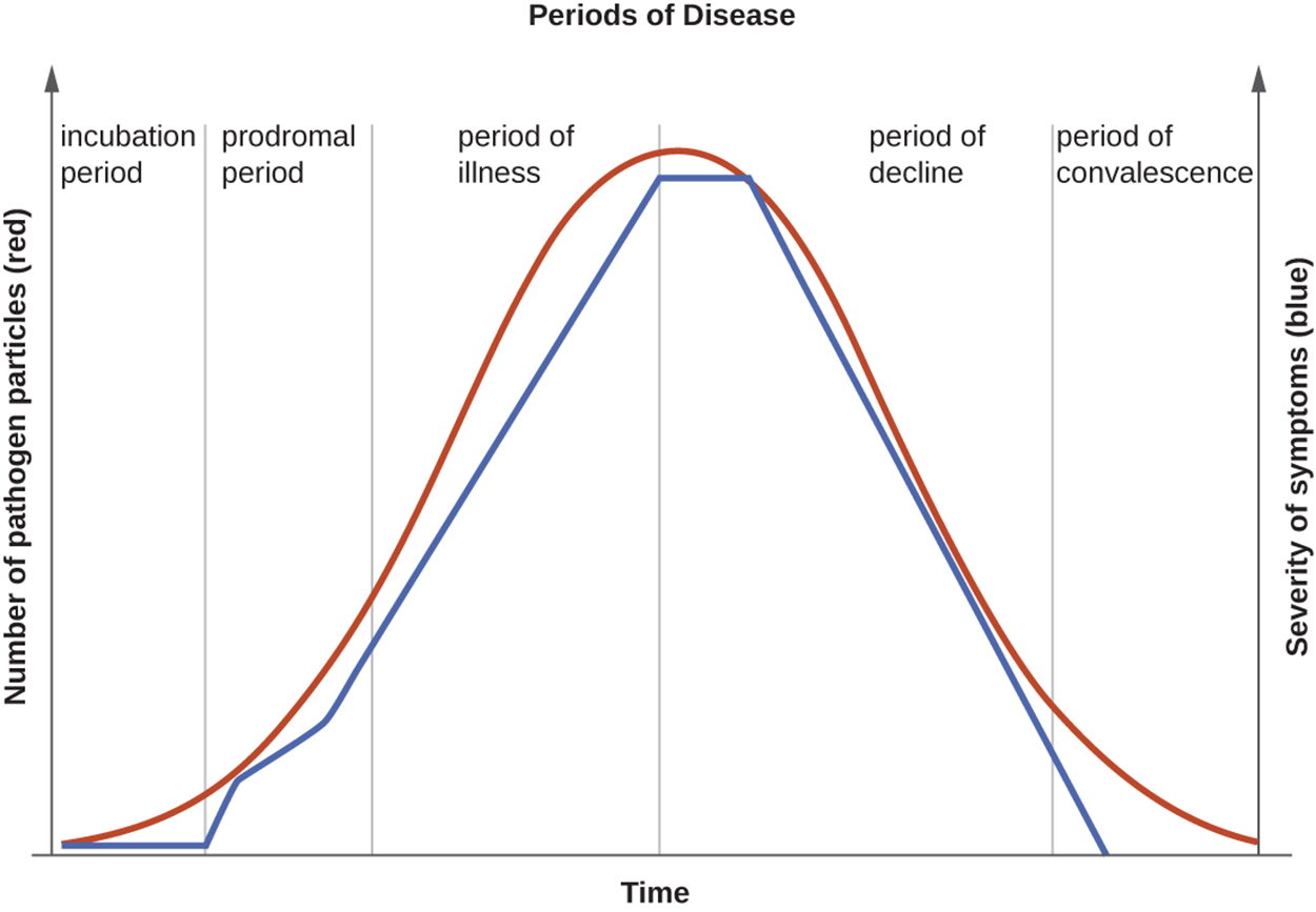 A graph titled “Periods of Disease” with time on the X-axis and two separate Y-axes: number of pathogen particles (red) and severity of symptoms (blue). Both of these lines mirror each other and have a general bell shape. The first stage is the incubation period when there are few pathogens and symptoms are mild. The next stage is the prodromal period when the number of pathogens is increasing and symptoms are becoming more severe. The next stage is the period of illness where the numbers of pathogens and symptoms both continue to increase. The next stage is a period of decline in infection where the number of pathogens is decreasing and symptoms are becoming less severe. The final stage is the period of convalescence when symptoms go away and the number of pathogens decreases. Note that there are still pathogens present even after there are no more symptoms of the disease.