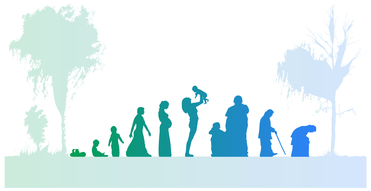 Image of the stages of life. There are people standing outside next to one another. There is a baby, a toddler, a young adult, a pregnant woman, a woman holding up a baby, a person holding a child’s hand, a person with a cane, and then an elderly person hunched over with a cane.