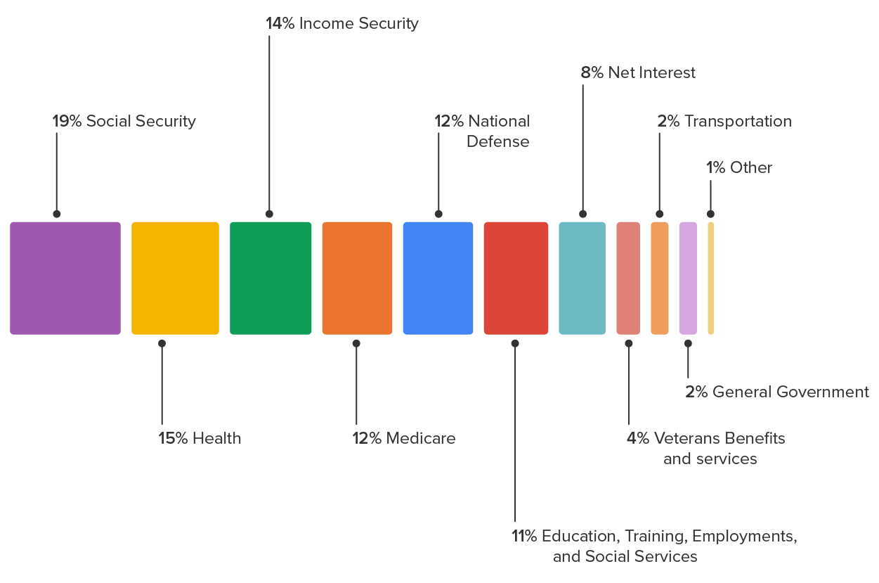 Chart shows the percentage of government spending by category.