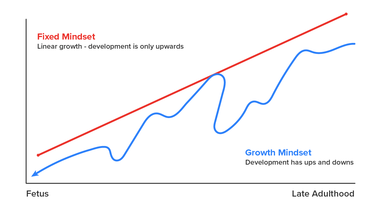 Graph that shows how development should be viewed from a growth mindset as opposed to a fixed mindset from a fetus to late adulthood. The graph shows a line segment going up from left to right with text that states, fixed mindset, linear growth development is only upwards. There is a line that goes to many points to text that says growth mindset, development has ups and downs.