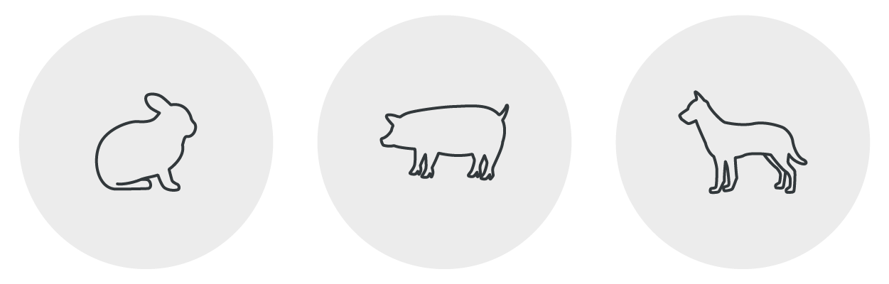 illustrative