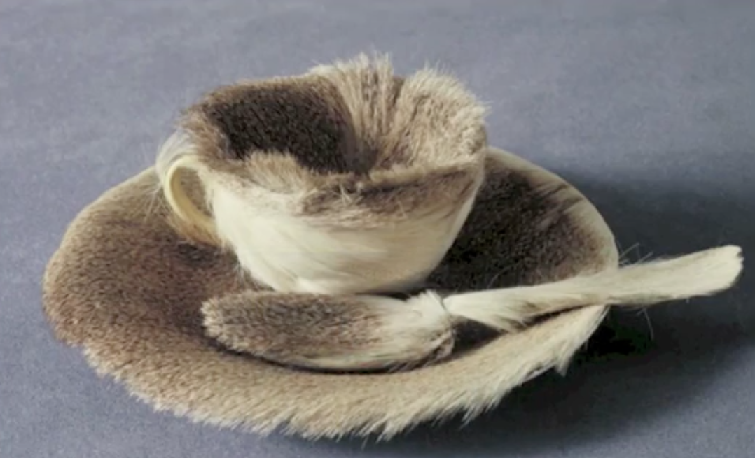 Fur Breakfast by Méret Oppenheim1936Tea cup, saucer, and spoon covered in fur (Chinese gazelle)