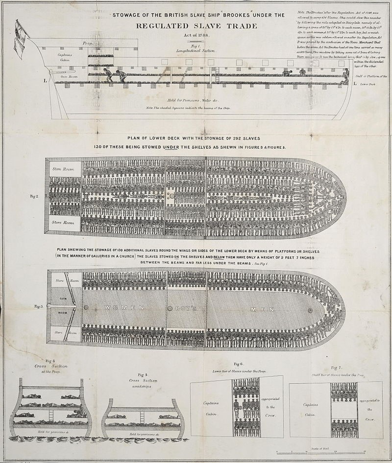 An image of the plans of a ship that carried enslaved persons.