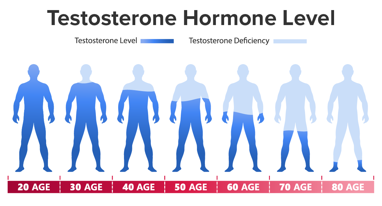 Illustration showing levels of testosterone in the body at different ages.  Age 20 = 100%, ages 30 = 85%, age 40 = 65%, age 50 = 55%, age 60 = 45% , age 70 = 35%, and age 80 =  10%.