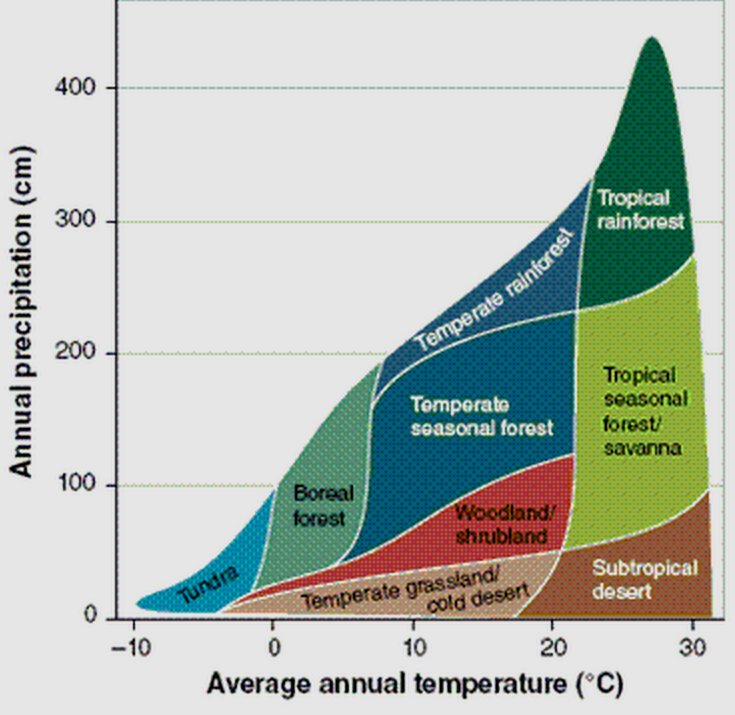 precipitation and temperature are the two most important factors in predicting the type of biome.