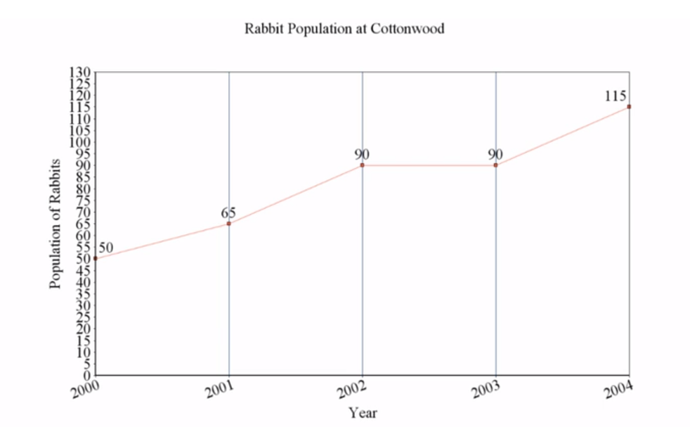 Rabbit Population