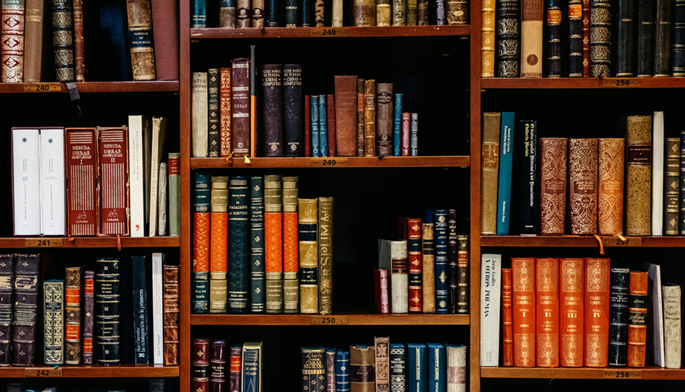A bookshelf filled with books