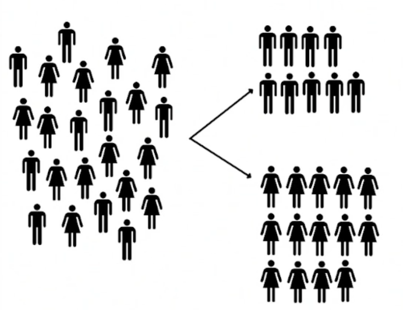 A group of people broken into two groups; one all male and the other all female.