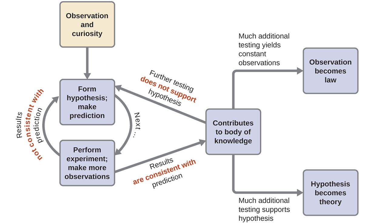 A schematic of the scientific method and how this process informs theories and laws.