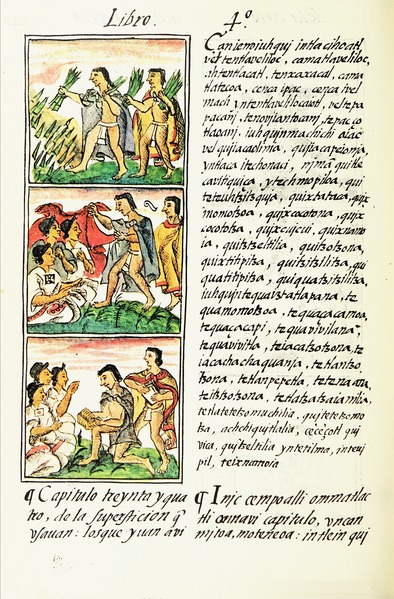 The Florentine Codex (also known as A General History of the Things of New Spain) by Fray Bernardino de Sahagun1545-1590Ink on paper