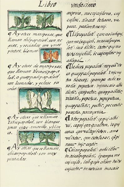 Volume of Florentine Codex