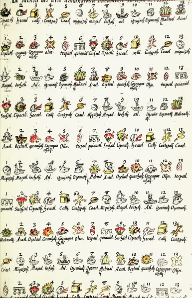 Volume of Florentine Codex