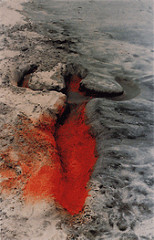 Silueta Series by Ana Mendieta1973-1980Performance